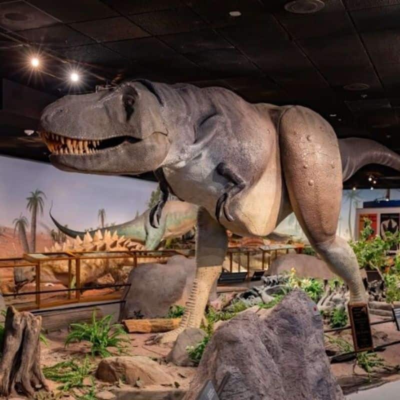 12 Fascinating Museums to Explore in Las Vegas Las Vegas Natural History Museum
