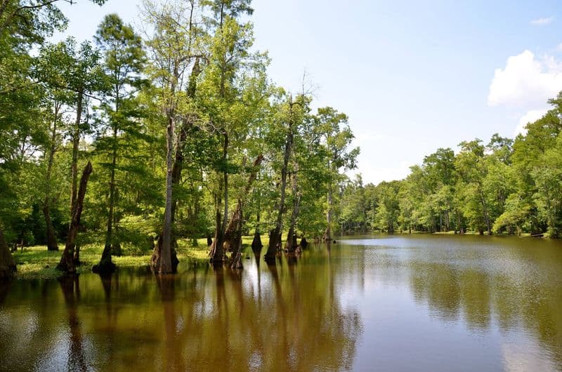 12 Must-Do Summer Adventures in Mississippi That'll Make Your Season Unforgettable Kayak the Pascagoula River