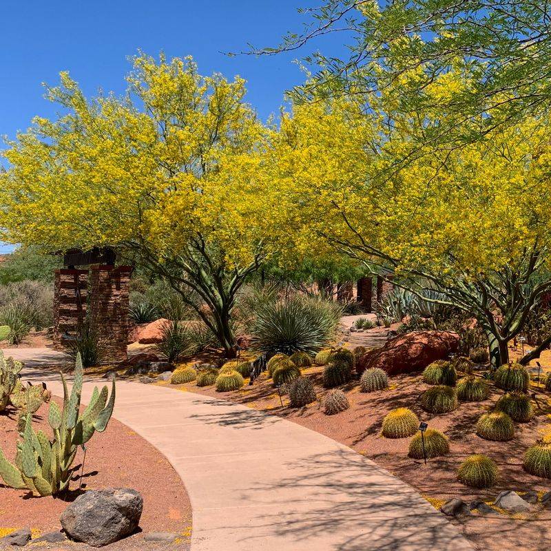 Wander Through Pioneer Park and the Red Hills Desert Garden