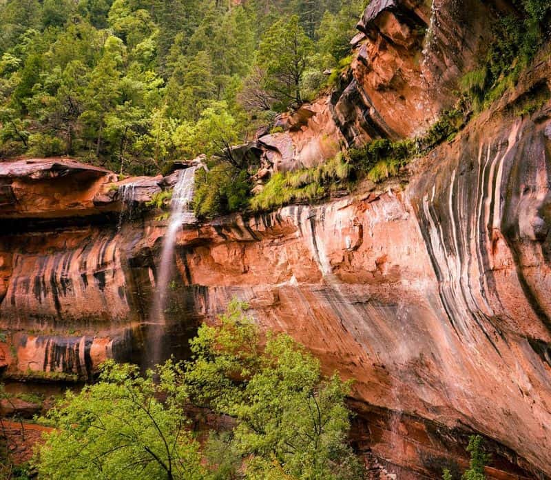 Hike to the Emerald Pools in Zion National Park