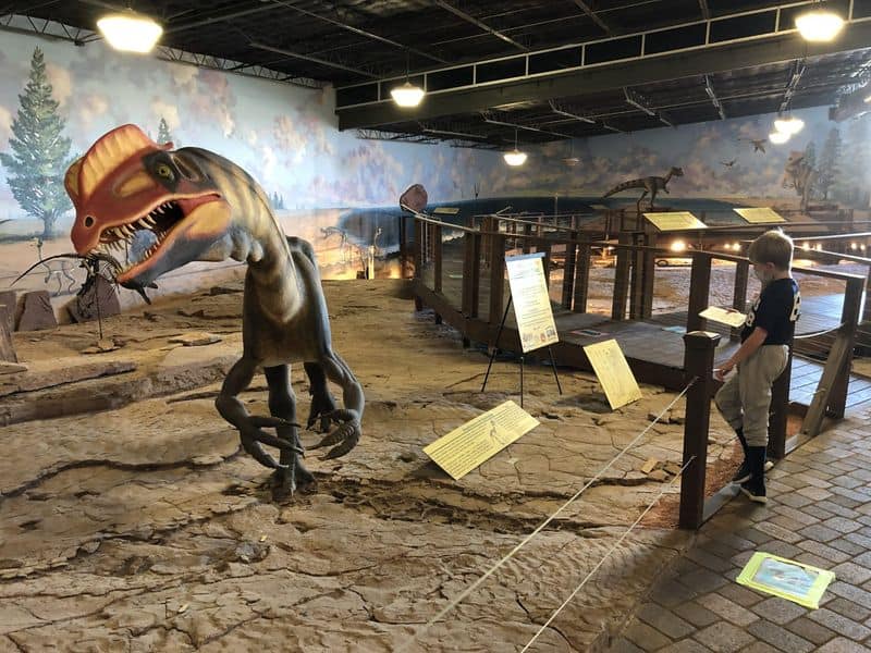 Marvel at Dinosaur Tracks at Johnson Farm Museum