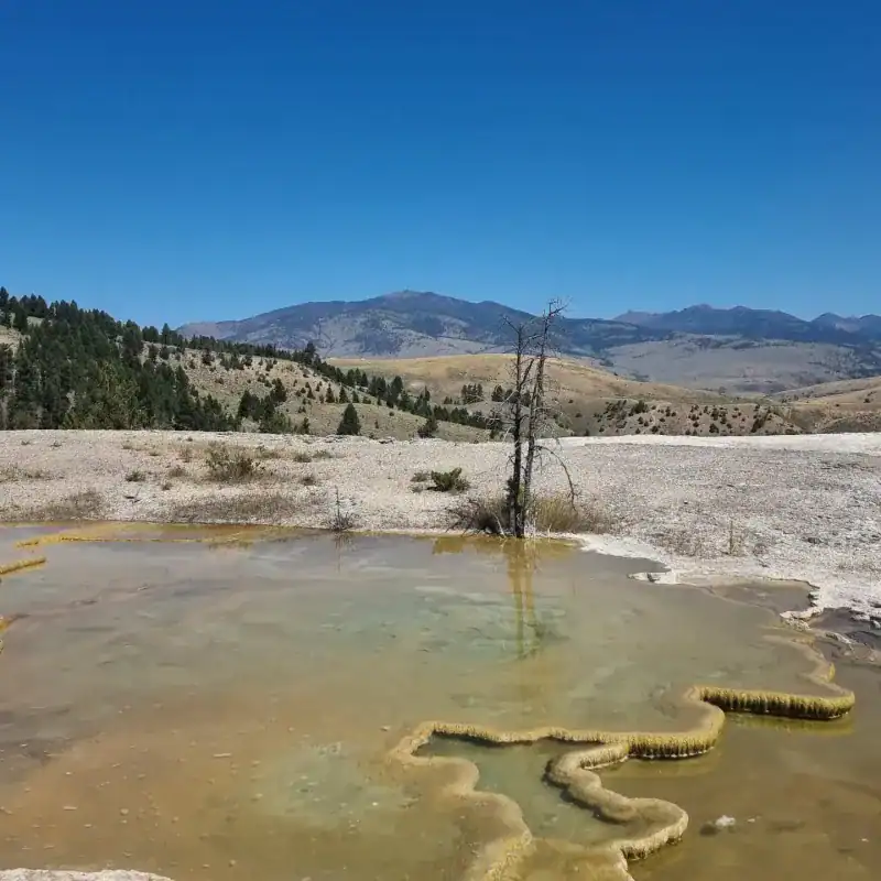 Yellowstone National Park Loop