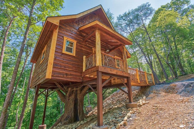 Out on a Limb Treehouse