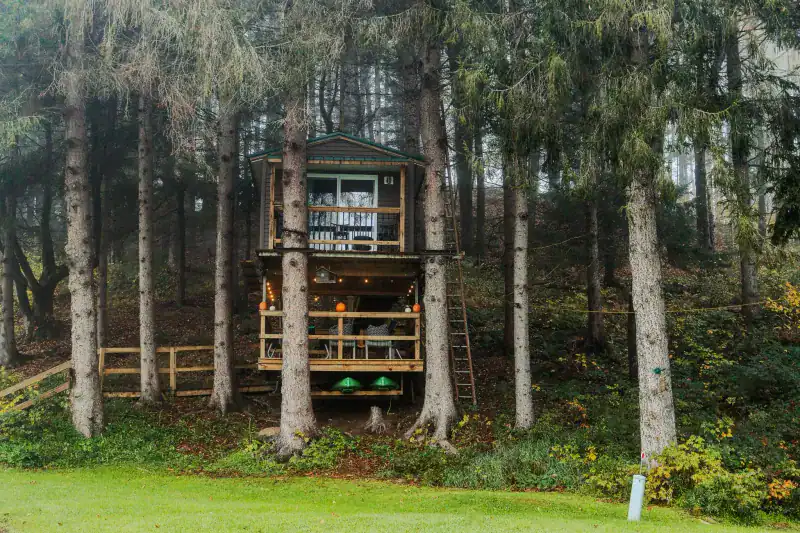 WAG Trail Inn Treehouse