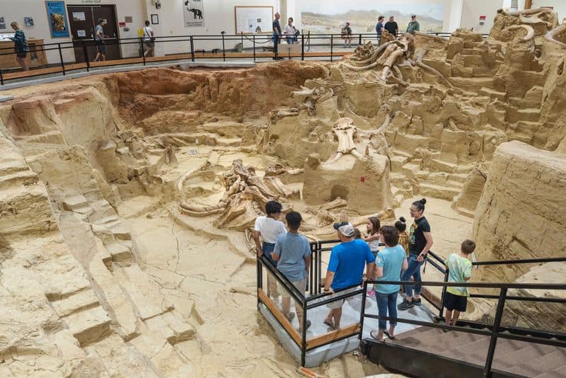 Mammoth Site (Hot Springs)