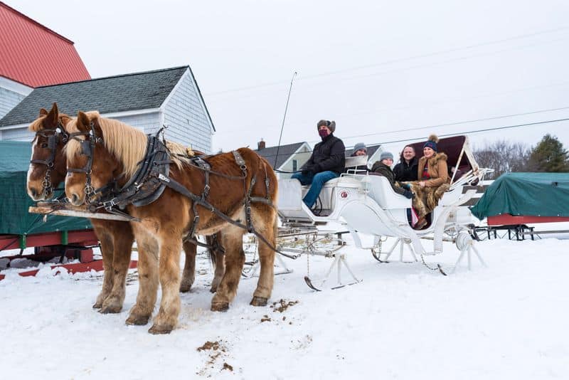Take a Carriage Ride Through Town