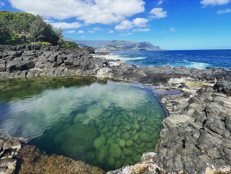 Swim in Queen's Bath (When It's Safe)