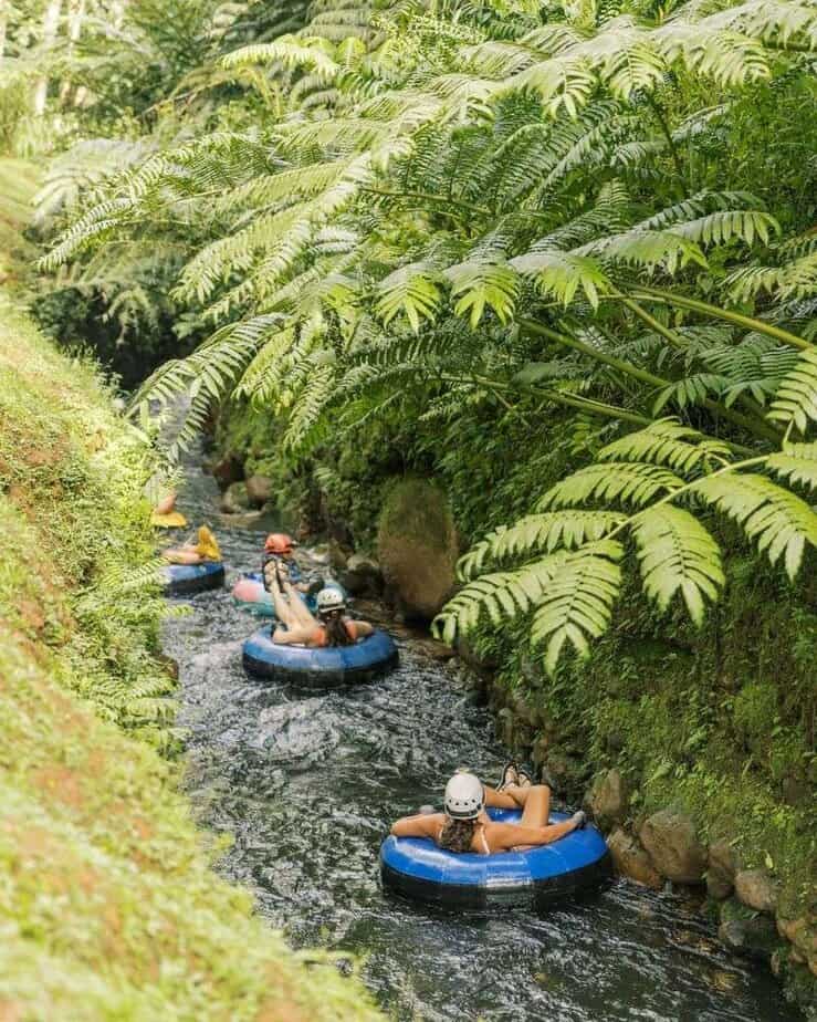 Tube Through Sugar Plantation Canals
