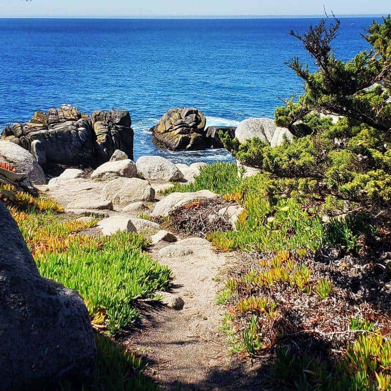 Drive the Scenic 17-Mile Drive