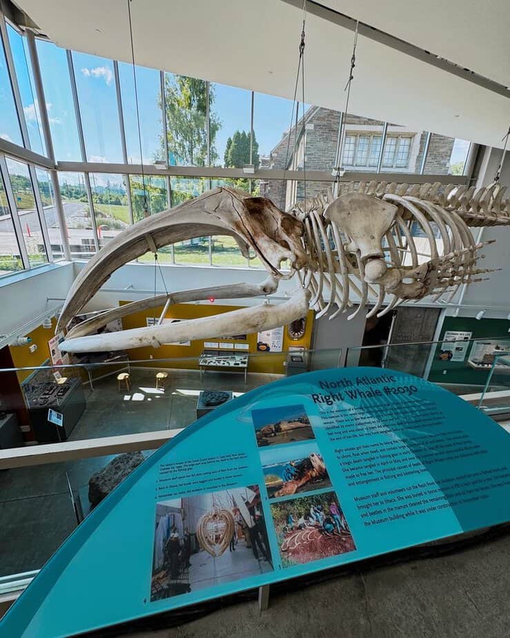 14 Amazing Things to Do in Ithaca, NY That Locals and Visitors Love Museum of the Earth