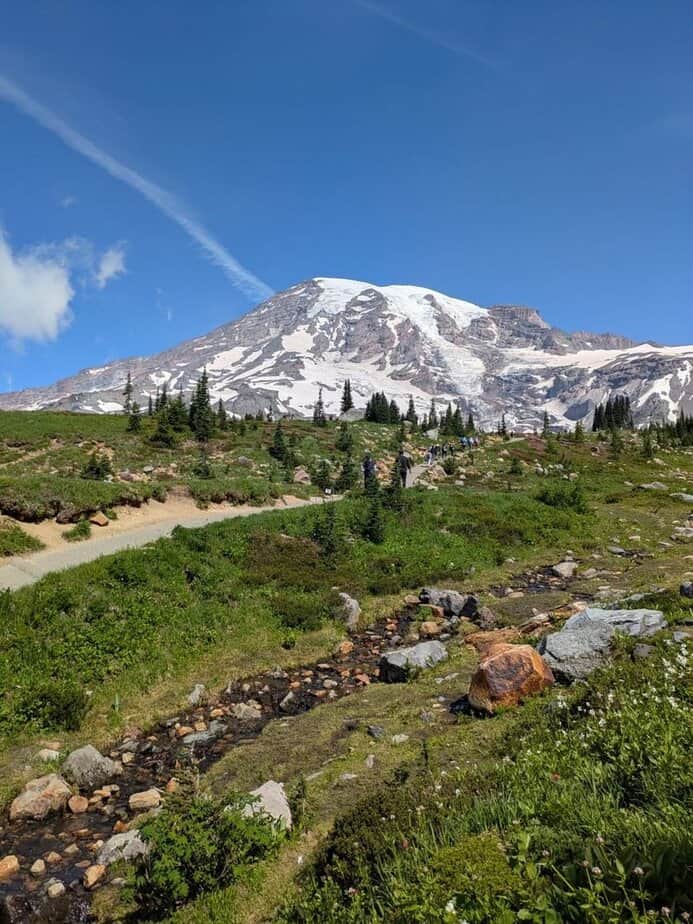 Alpine Majesty at Mount Rainier
