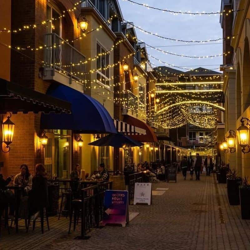 Sip and Savor in Woodinville Wine Country