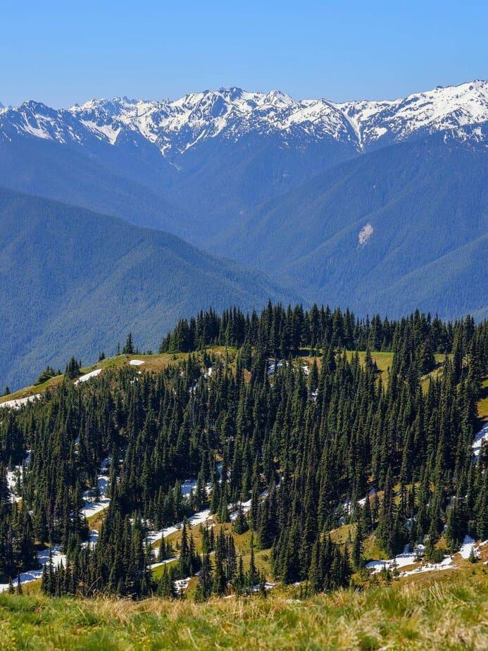 Alpine Wilderness at Hurricane Ridge