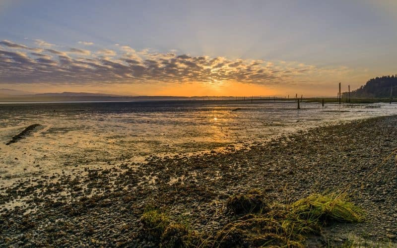 Peaceful Retreat on Camano Island