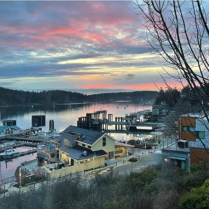 Island Escape to Friday Harbor