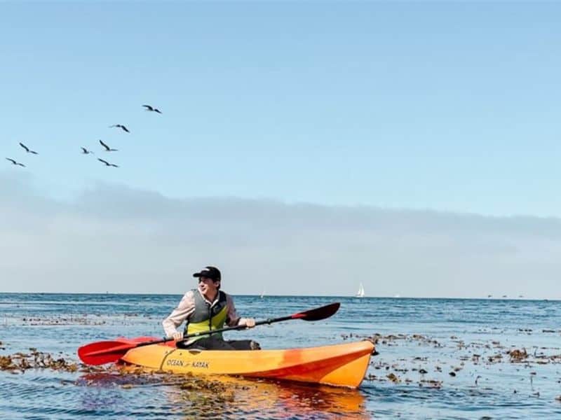 Kayak Monterey Bay