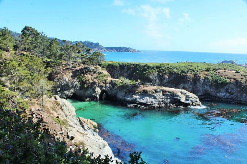 Point Lobos State Natural Reserve