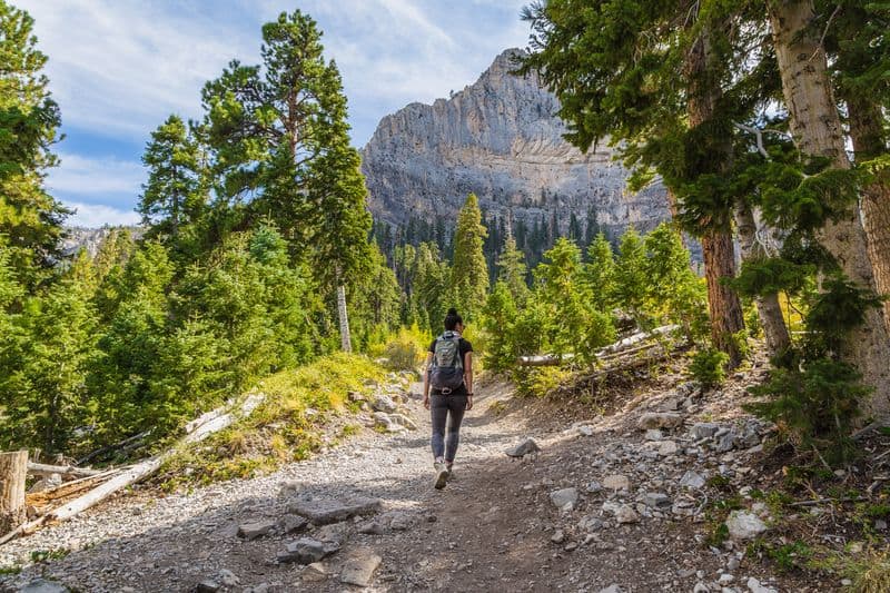 Hike or Climb in Mount Charleston