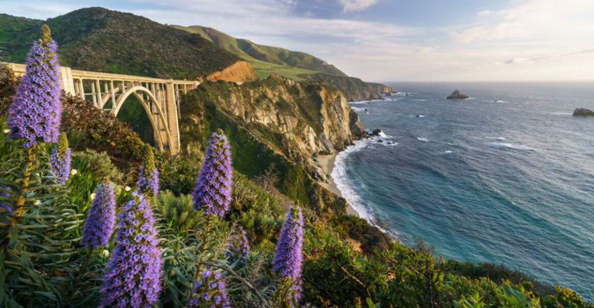 15 incredible ways to experience monterey california