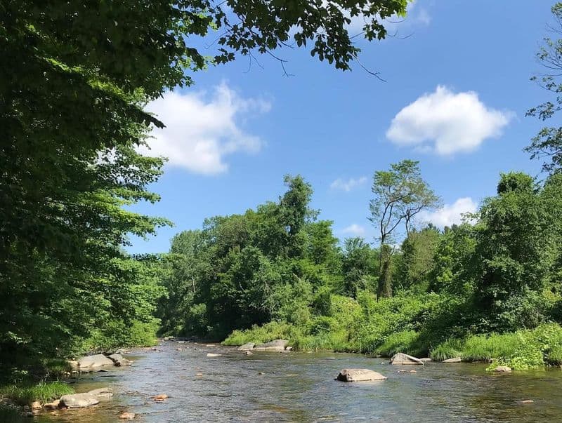 Westfield River – Lower Middle Branch