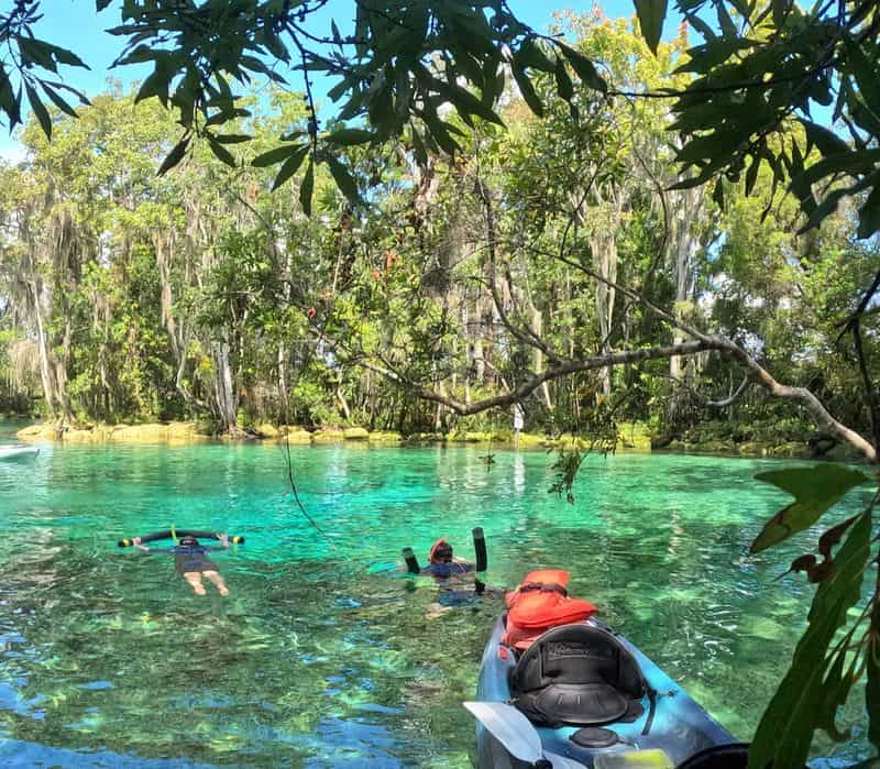 Crystal River & Three Sisters Springs