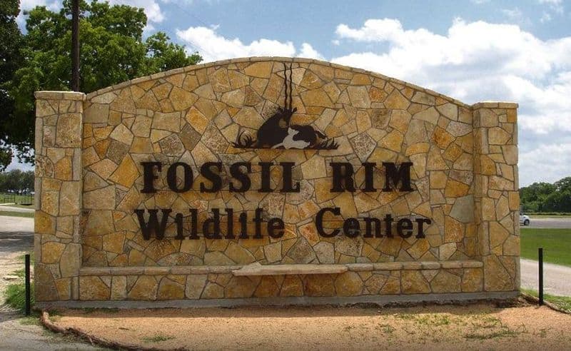 Fossil Rim Wildlife Center — Glen Rose