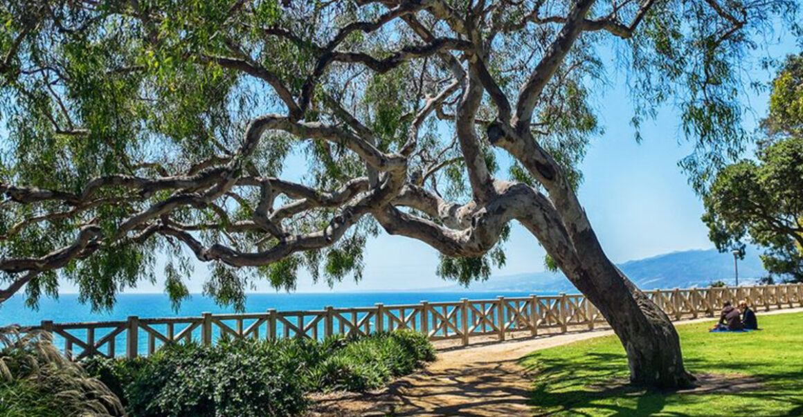 7 Classic Santa Monica Adventures for First-Time Visitors