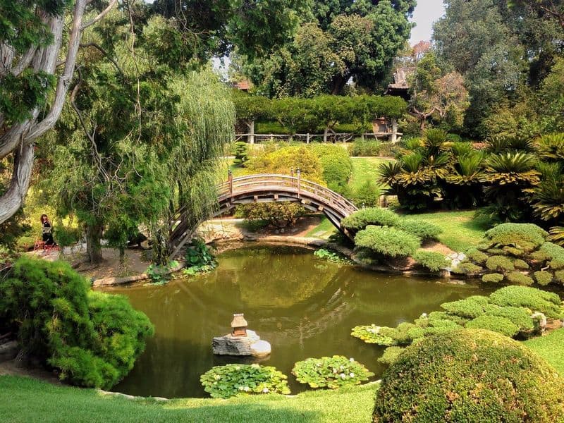 Stroll Through The Huntington Library, Art Museum & Botanical Gardens