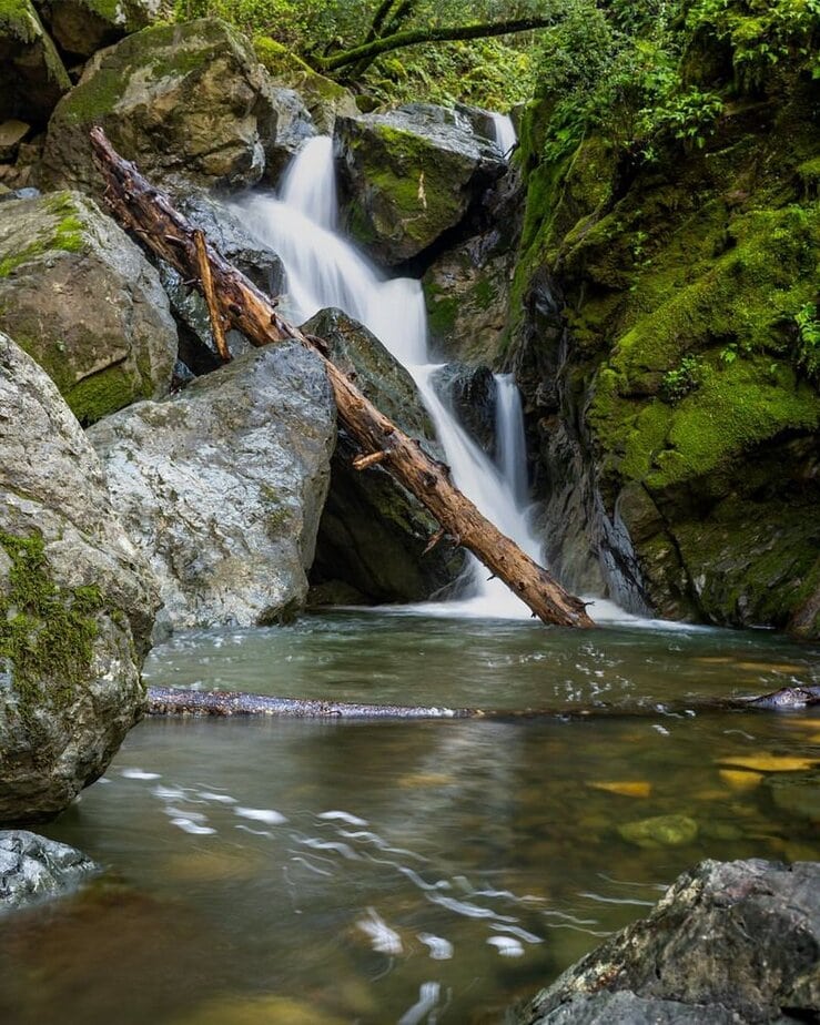 8 Can't-Miss Sonoma Valley Adventures (Yes, There's More Than Wine) Hike Through Sugarloaf Ridge State Park