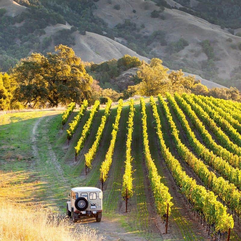 8 Can't-Miss Sonoma Valley Adventures (Yes, There's More Than Wine) Bike the Sonoma Valley Wine Trail
