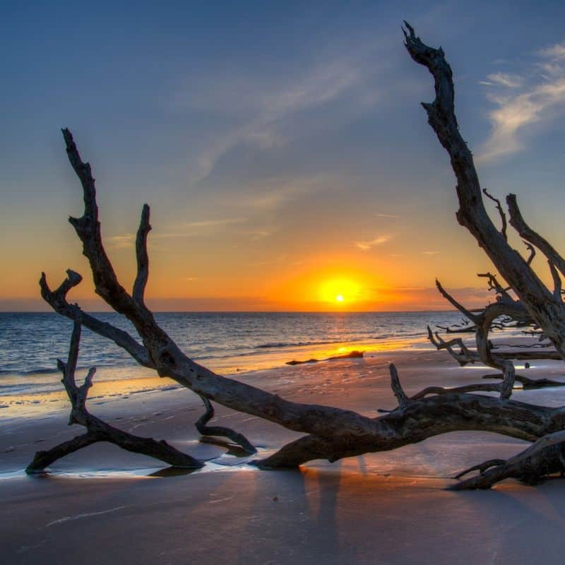 Big Talbot Island State Park