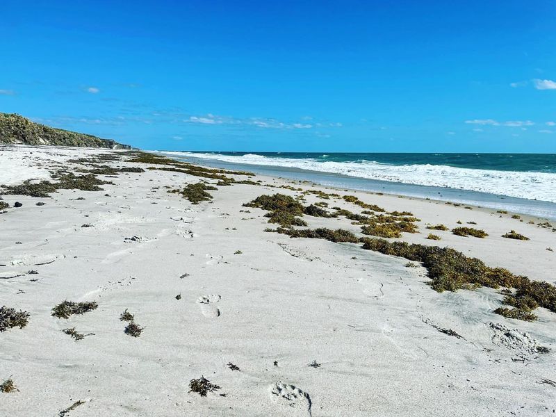 Playalinda Beach, Canaveral National Seashore