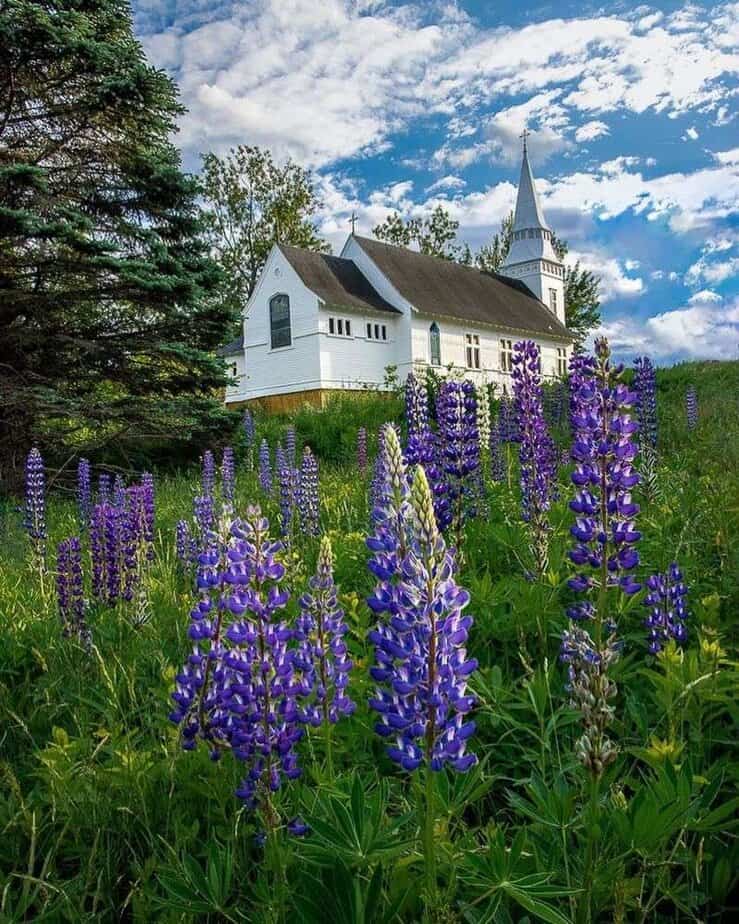 8 New Hampshire Small Towns That Burst With Life Every Summer Sugar Hill