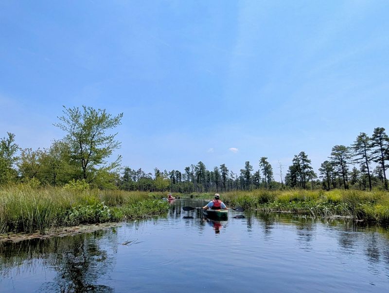 Atsion Lake (Wharton State Forest)