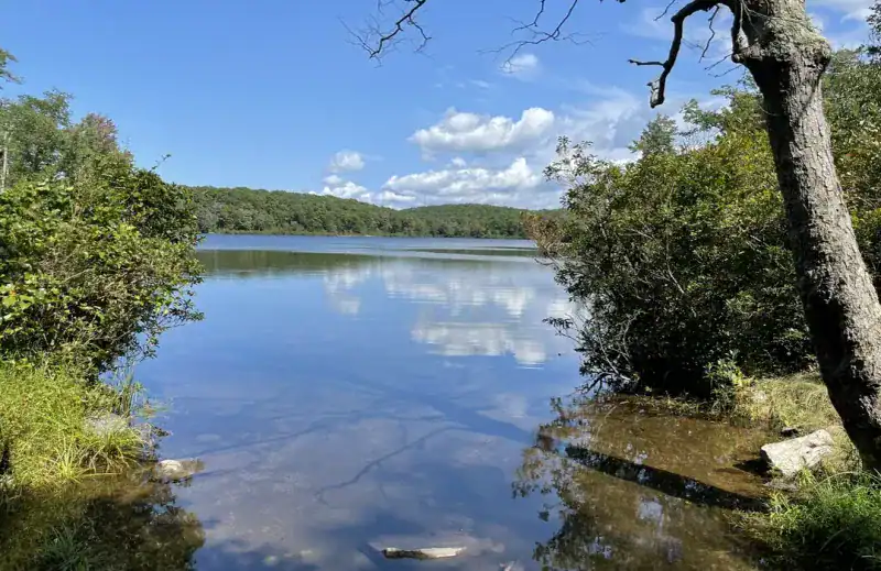 Farview (Worthington State Forest)