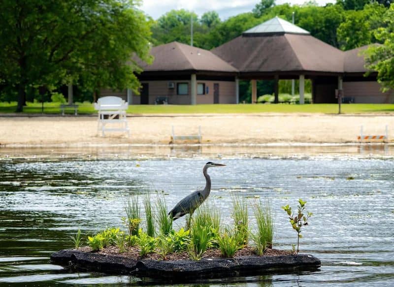 Swartswood Lake (Swartswood State Park)