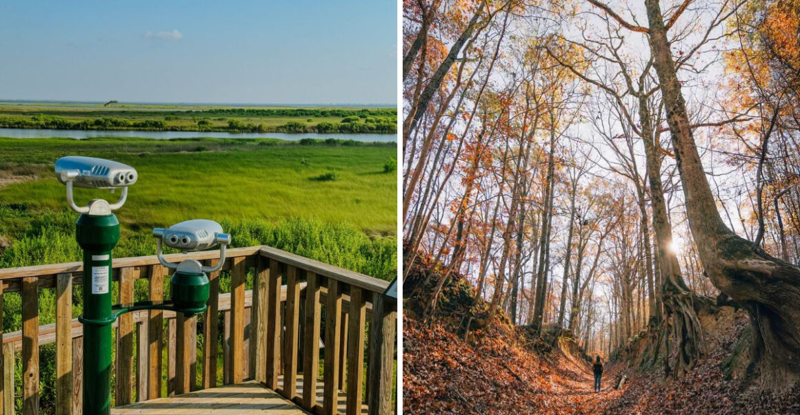 8 Best State Parks Near Houston to Recharge and Get Outdoors