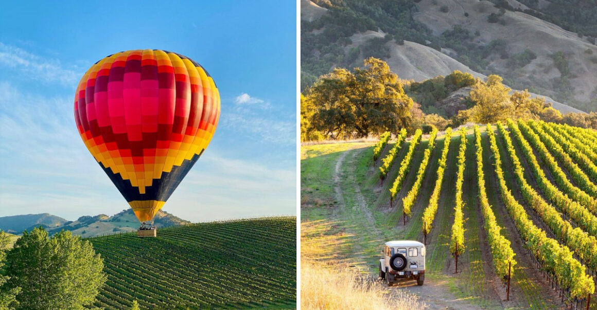 8 Can't-Miss Sonoma Valley Adventures (Yes, There's More Than Wine)