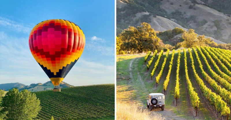 8 Can't-Miss Sonoma Valley Adventures (Yes, There's More Than Wine)