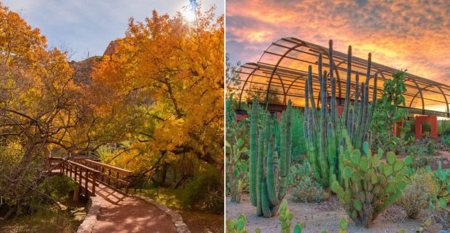 8 must see outdoor museums and gardens in greater