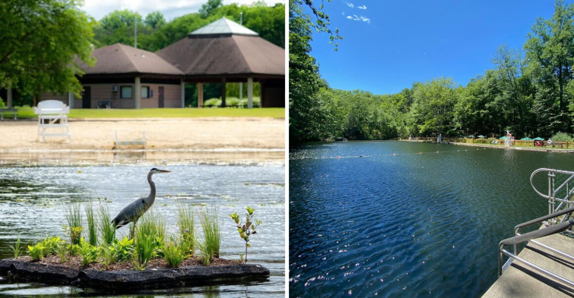 8 Refreshing New Jersey Swimming Holes Worth the Drive (and the Dip)
