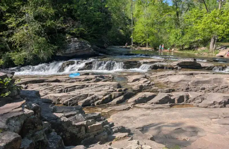 Turkey Creek Nature Preserve