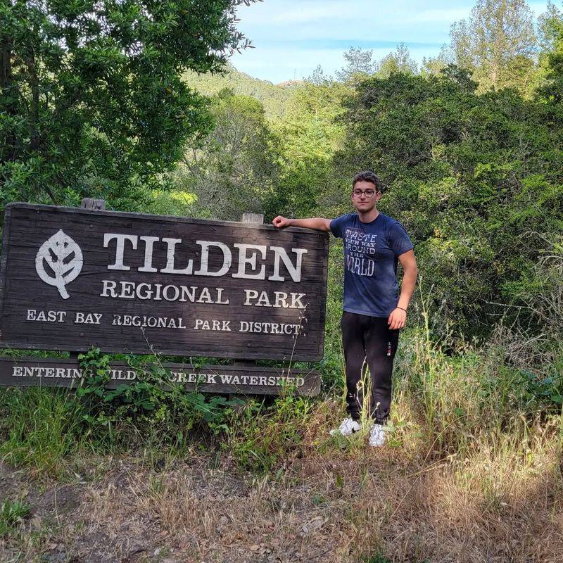 Hike in Tilden Regional Park