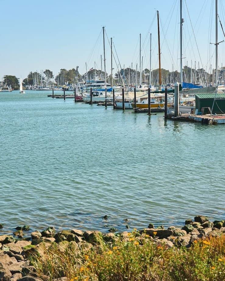 Relax at the Berkeley Marina