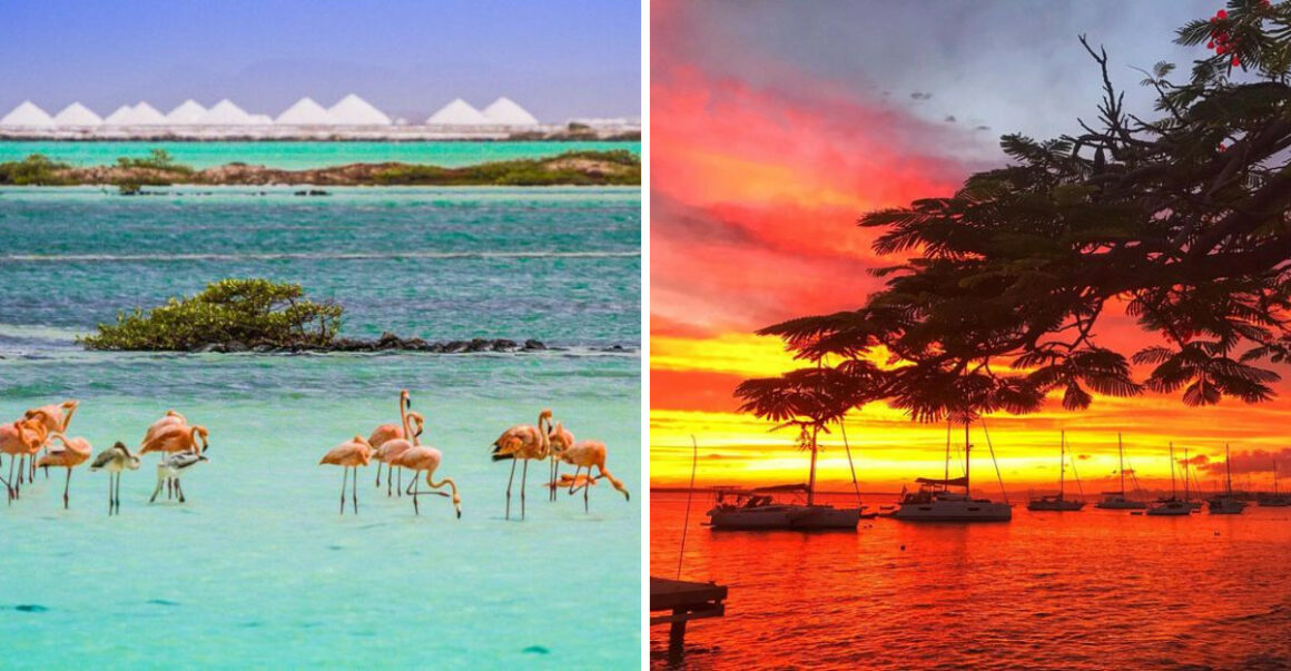 9 Things That Make Bonaire the Caribbean's Best-Kept Secret