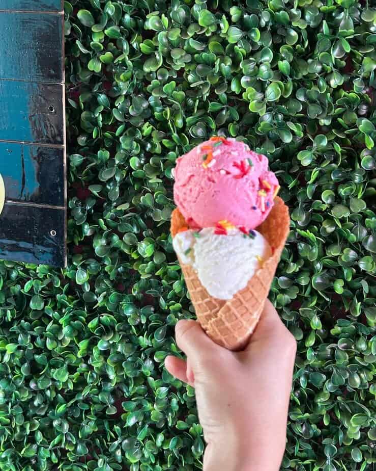 snapins ai 3302825649101522782