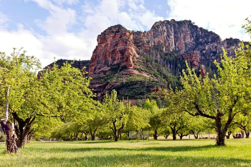 Apple Orchard Mountain