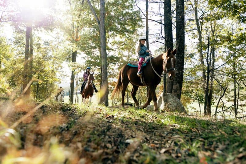 Saddle Up for Scenic Horseback Adventures
