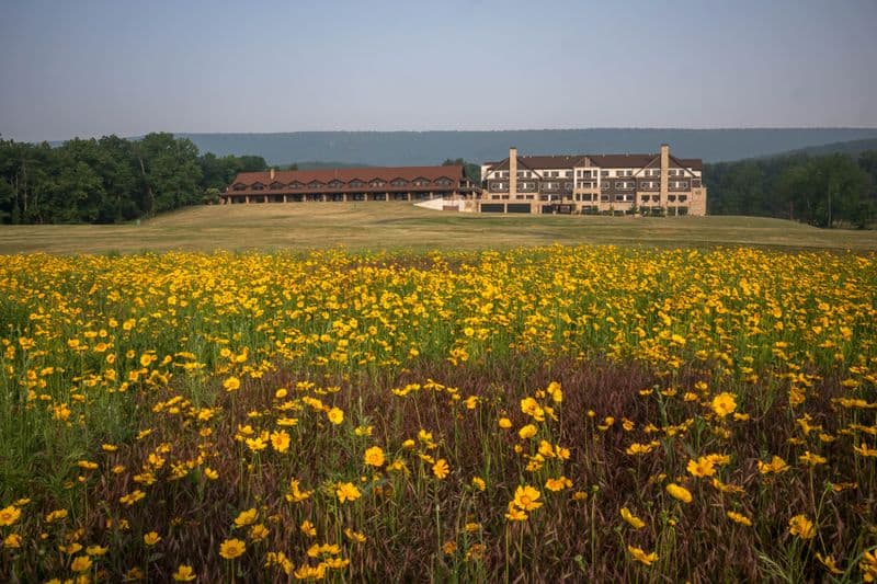 Search for Hidden Geocaching Treasures