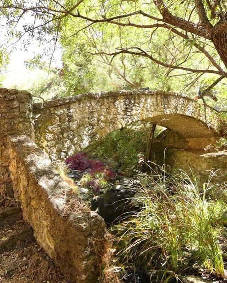 10 San Jose Parks Where You Can Escape the City Hustle and Relax Alum Rock Park